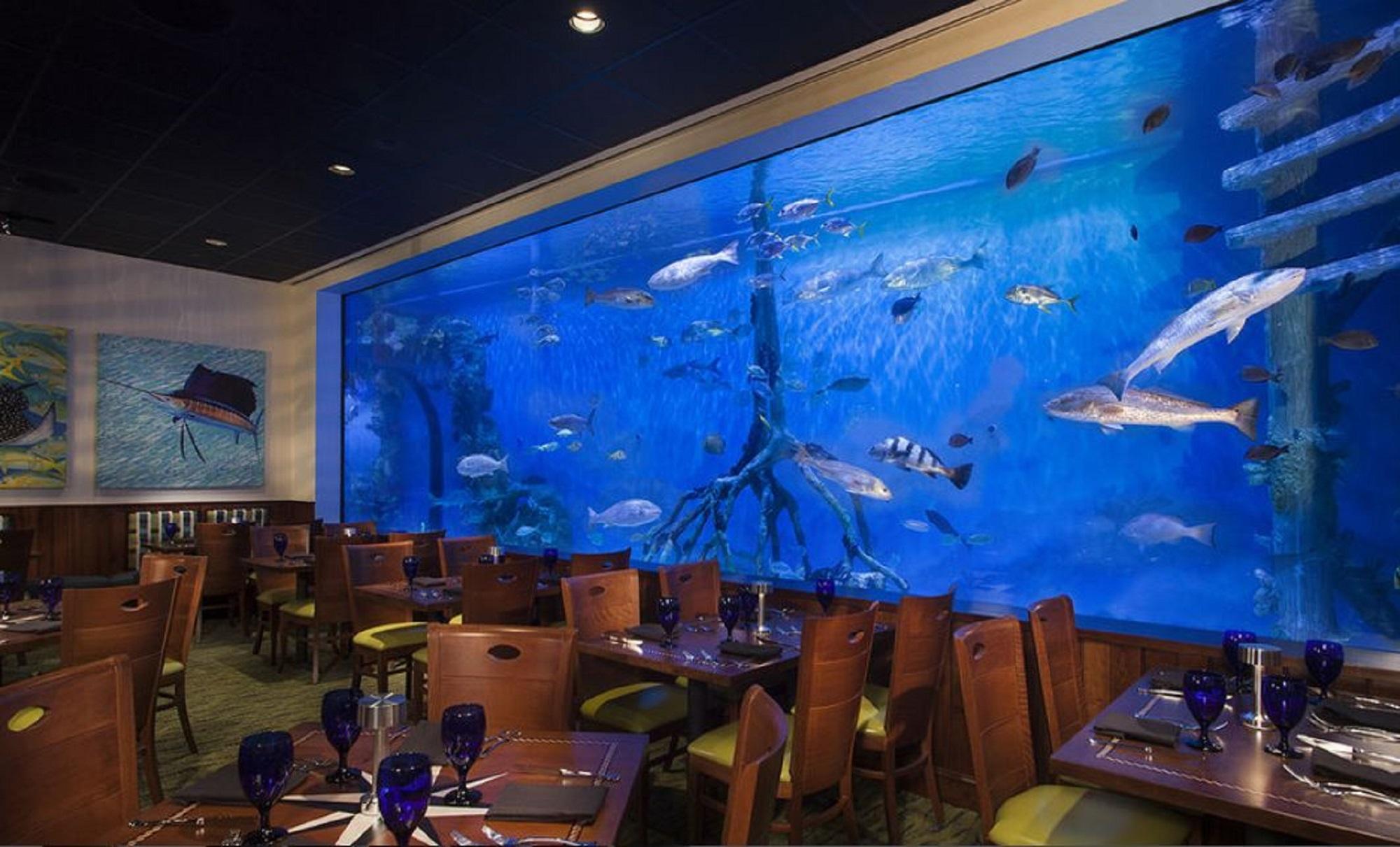 Rumfish Beach At Tradewinds St. Pete Beach Εξωτερικό φωτογραφία